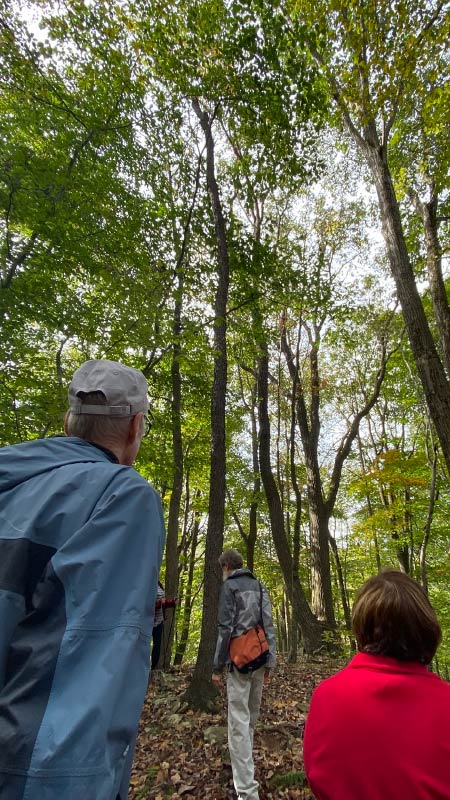 Save the date for our virtual annual members meeting