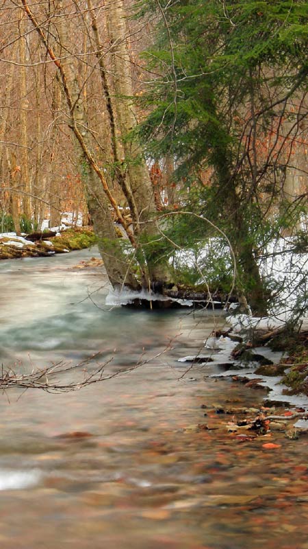 Download images for your desktop or virtual meeting